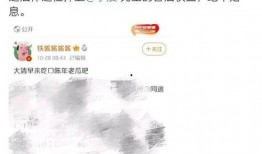 娱乐吃瓜账号名字大全最新,跟随最新吃瓜账号，畅游八卦海洋