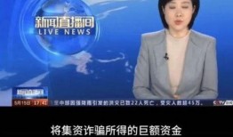 央视新闻爆料王冕视频,揭秘背后惊人内幕